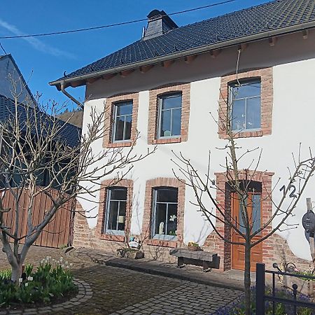 Eifler Brunnenhaus Βίλα Dumpelfeld Εξωτερικό φωτογραφία