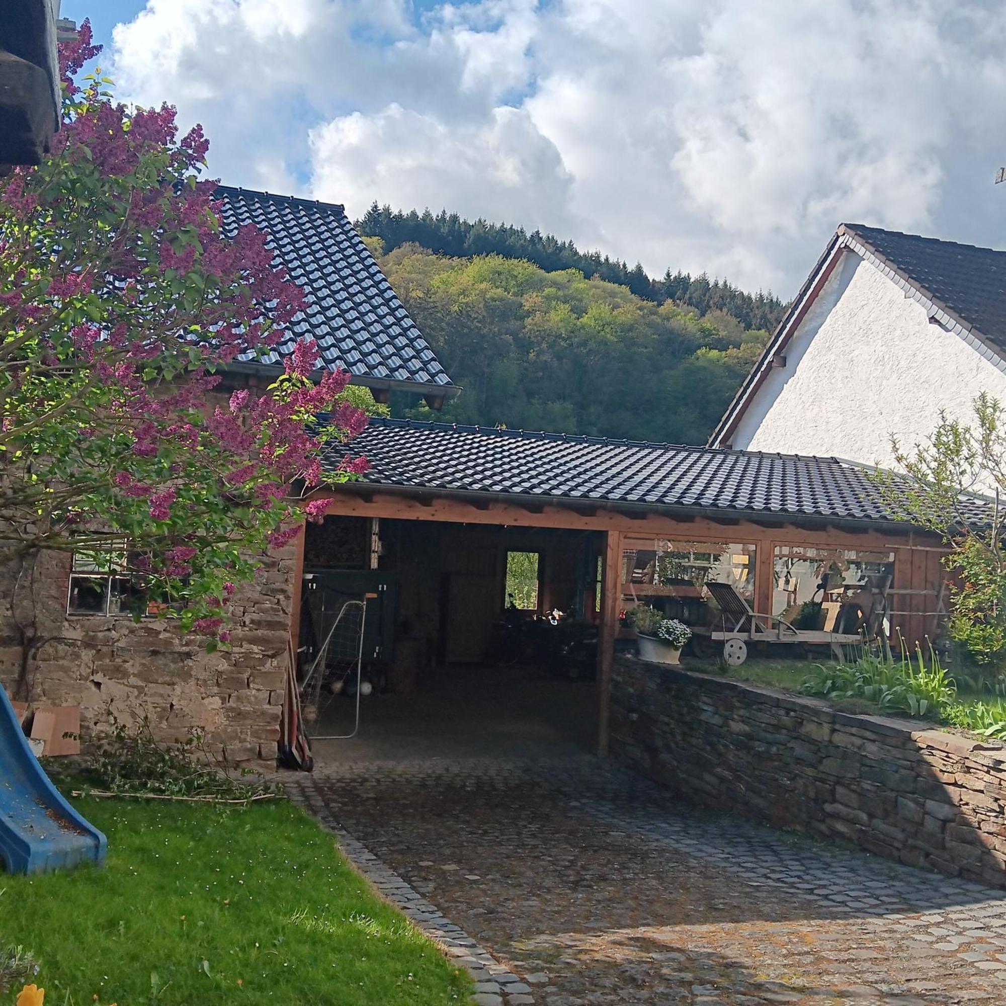 Eifler Brunnenhaus Βίλα Dumpelfeld Εξωτερικό φωτογραφία